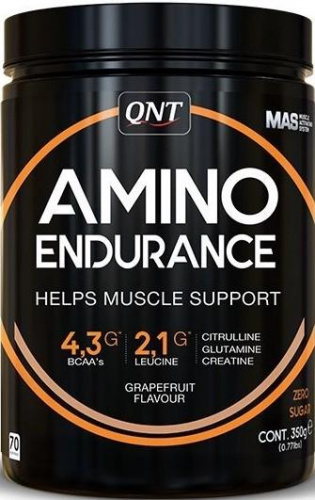QNT Amino Endurance 350 грамм