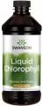 Swanson Liquid Chlorophyll 473 мл
