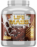 Tree of Life Life Mass 2730 грамм